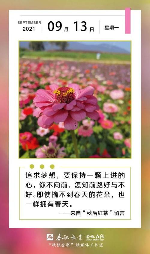 早安合肥在线观看,每日新鲜资讯,开启美好一天
