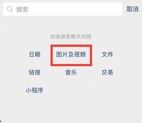 新春爆料最新消息视频播放,新春爆料!最新消息视频播放精彩内容抢先看