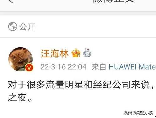 娱乐圈爆料说说,揭秘明星背后的故事与真相  第3张 娱乐圈爆料说说,揭秘明星背后的故事与真相  第3张