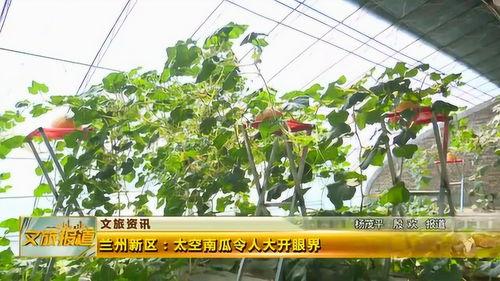 新瓜最新爆料兰州,揭秘城市背后的故事与秘密  第2张 新瓜最新爆料兰州,揭秘城市背后的故事与秘密  第2张
