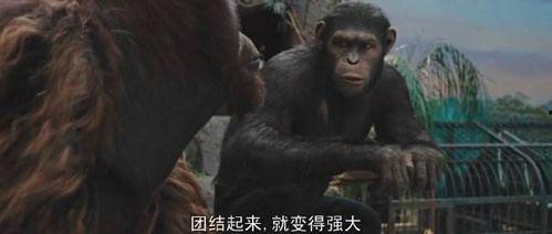 猩球崛起在线观看免费,重燃自由之战——在线免费观看,探索猿类革命传奇  第2张 猩球崛起在线观看免费,重燃自由之战——在线免费观看,探索猿类革命传奇  第2张